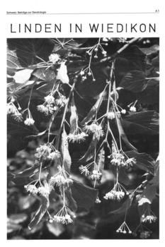 Annuaire 23-30 | 1971-1980