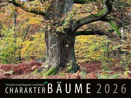 Wandkalender: Charakter Bäume 2026