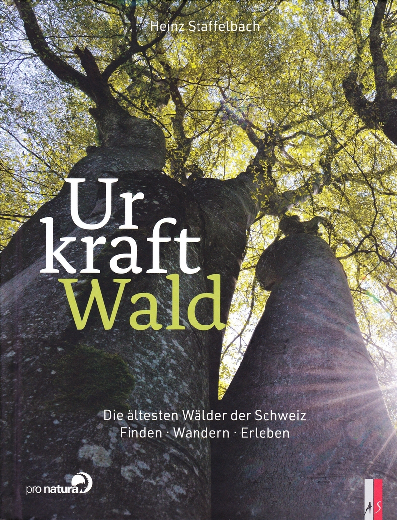 Urkraft Wald – die ältesten Wälder der Schweiz Finden, Wandern, Erleben