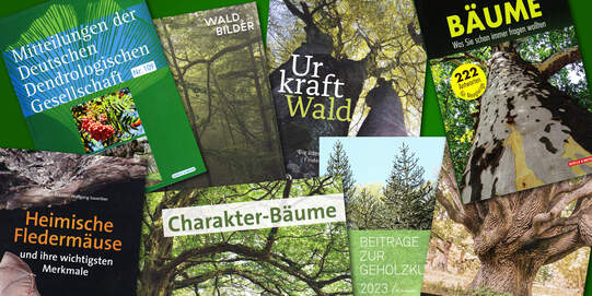 Publikationen / Bücher