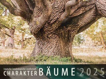 Wandkalender: Charakter Bäume 2025